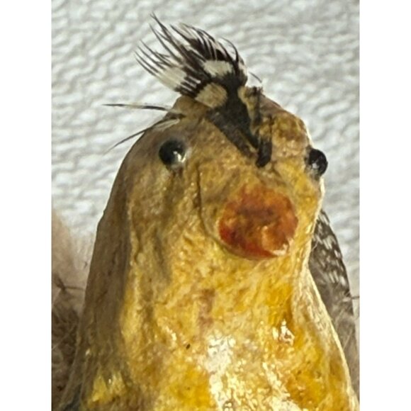 Antique German Made Paper Mache Bird Possibly Sandgrouse Real Feathers Wood Base - Picture 9 of 14